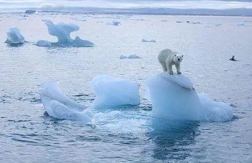 全球气候变暖之北极效应